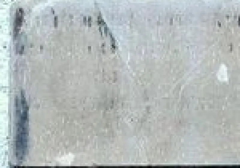 Deska na staré budově školy s nápisem „Nechte maličkých přijíti ke mně neb jejich jest království nebeské. Mat. 19.14.“